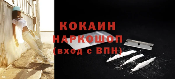 кокс Алексин