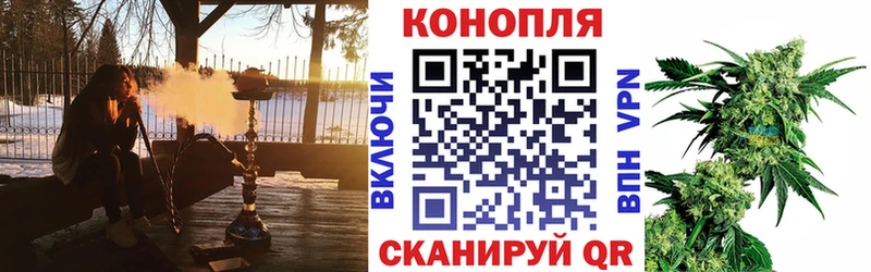Бошки Шишки сатива  Аргун 